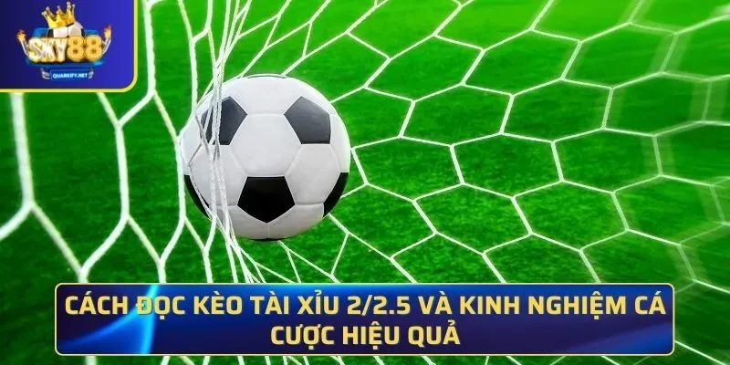 Kèo Tài Xỉu 2/2.5